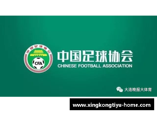 中国足球转会市场：注册球员调查
